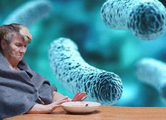 Over 60s with poor appetite have less variety of gut bacteria