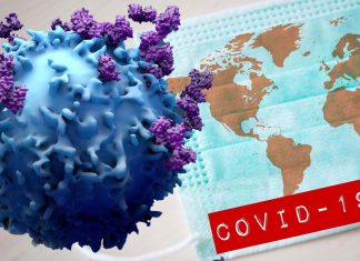 COVID-19: come le infezioni infantili potrebbero plasmare le pandemie