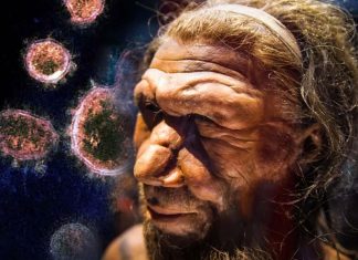 La Germania ha dimostrato che un importante fattore di rischio genetico per COVID-19 grave è ereditato dai Neanderthal