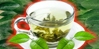 Tè verde – l’antiossidante epigallocatechina gallato (EGCG) può aumentare i livelli di p53 – proteina naturale anti-cancro