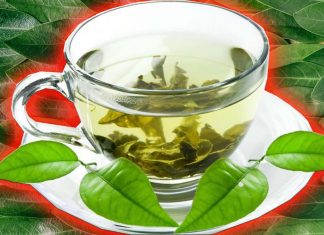 Tè verde – l’antiossidante epigallocatechina gallato (EGCG) può aumentare i livelli di p53 – proteina naturale anti-cancro
