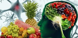 I composti fitonutrienti possono agire sinergisticamente per promuovere la neurogenesi e la funzione cerebrale