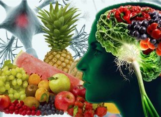 I composti fitonutrienti possono agire sinergisticamente per promuovere la neurogenesi e la funzione cerebrale