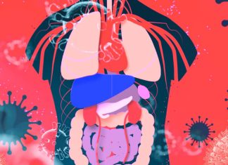 SARS-CoV-2 doesn’t infect the entire body in the same way