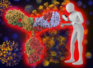 Mutazioni SARS-CoV-2 simili a quelle nella variante B1.1.7 del Regno Unito potrebbero insorgere in caso di infezione cronica