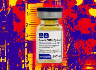 Sputnik V vaccine appears safe and effective against COVID-19