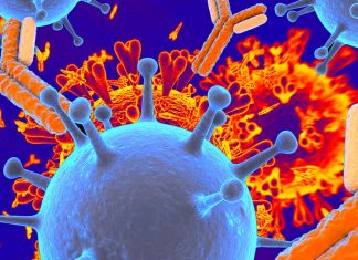 Antibody-based drugs for COVID-19 are more effective after eliminating the antibody’s effector functions