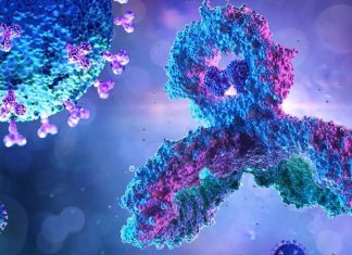 Covid-19: First test for all known human mutation use HCoV-Peptide array
