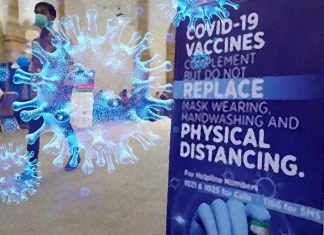 COVID-19: vaccination and physical distancing are enough to prevent future pandemic