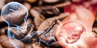 La caffeina consumata durante la gravidanza può modificare importanti percorsi cerebrali