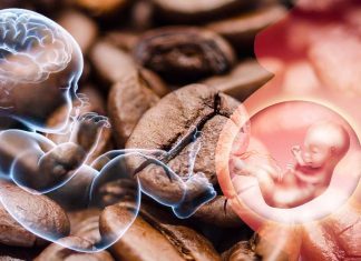 La caffeina consumata durante la gravidanza può modificare importanti percorsi cerebrali