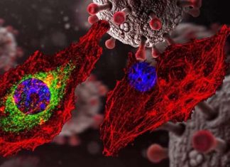 Precisely engineered glucocorticoids can treat COVID-19 – autoimmune diseases and more