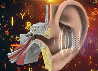 Hearing is a dynamic and delicate connection between protein filaments
