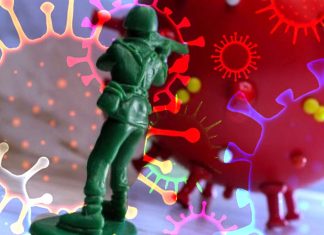 Evolution of immunity levels up to four months following COVID-19 infection