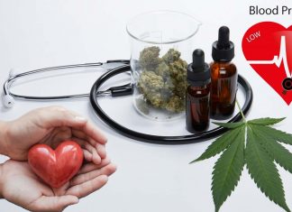 Medical cannabis may reduce blood pressure in older adults