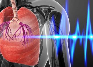 Researchers have identified the processes that cause wheezing in the lungs