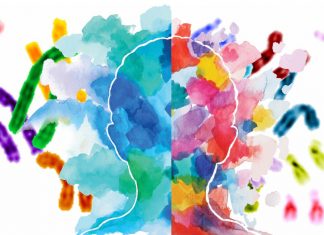 New models outline the relationship between personality – genes – behaviour