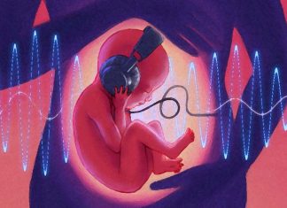 How does sound shapes the minds of fetuses in the womb ?