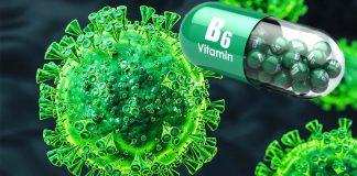 The important role of vitamin B6 in the protection against COVID-19