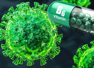 The important role of vitamin B6 in the protection against COVID-19