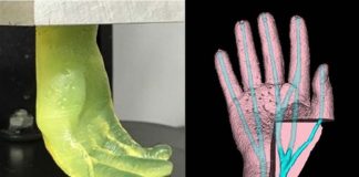 3D print organs 50 times faster than industry standards