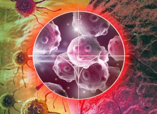 Cancer cells can dodge chemotherapy by entering a state of senescence