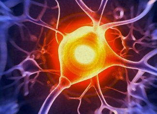Electrical stimulation help speed wound healing