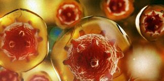 Protein kinases significantly contribute to the immunodeficiency in HIV patients