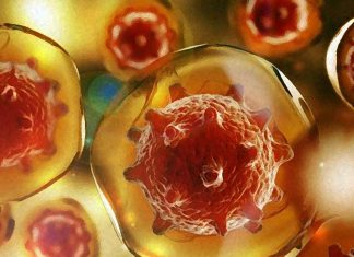 Protein kinases significantly contribute to the immunodeficiency in HIV patients