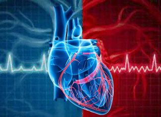 Researchers have discovered a backup natural pacemaker
