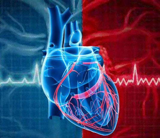 Researchers have discovered a backup natural pacemaker