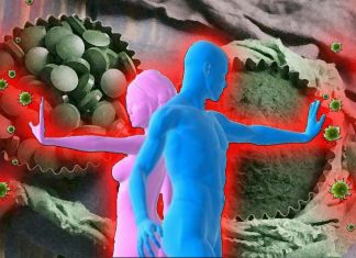Un estratto di alghe può aiutare a prevenire la reazione immunitaria eccessiva che spesso causa una grave malattia da COVID-19