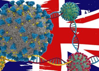 British variant of the SARS-CoV-2 virus could be 43 to 90% more transmissible than the original virus
