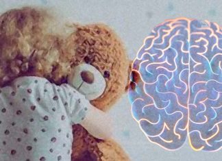 Children whose parents use harsh punishments have smaller brain structures during adolescence