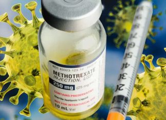 Drugs that inhibit folate metabolism could be therapeutic candidates for COVID-19