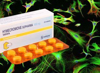 Alzheimer’s disease: Hymecromone is able to suppress immune response in astrocytes in the central nervous system