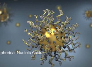 New spherical nucleic acid NU-0129 drug kills tumor cells in humans with glioblastoma