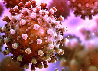 Babies born of test-positive mothers are more likely to be born early – extremely few were infected with COVID-19