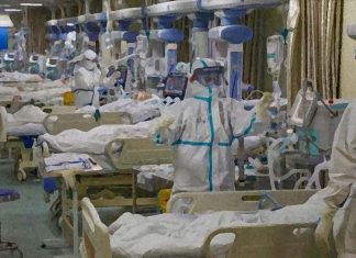 COVID-19: Deaths in the United States have increased nearly 23% in the past year