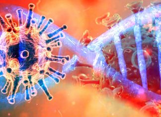 I sopravvissuti al COVID-19 hanno un aumentato rischio di morte nei sei mesi successivi alla diagnosi con il virus