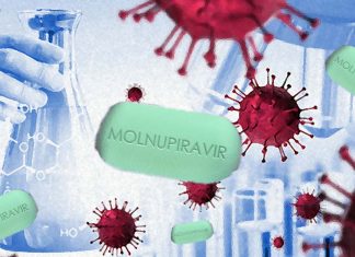 Treatment with MK-4482 could potentially mitigate high-risk exposure to SARS-CoV-2