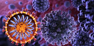 Researchers has identified several candidates for drugs against the coronavirus SARS-CoV-2 at DESYs high-brilliance X-ray lightsource PETRA III