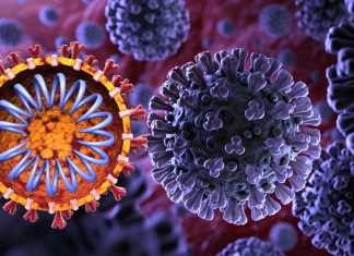 Researchers has identified several candidates for drugs against the coronavirus SARS-CoV-2 at DESYs high-brilliance X-ray lightsource PETRA III
