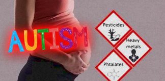 Levels of the heavy metals in maternal blood during pregnancy is associated with ADHD and autism
