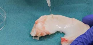 New injectable gel that can repair tears resulting from an accident or trauma