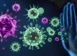 The important role for the immune system in shaping the evolution of SARS-CoV-2