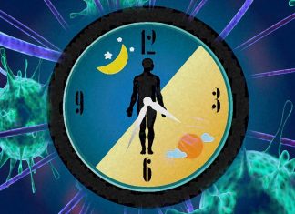 Shift-work work cause several health-related issues and affect our defense against infection