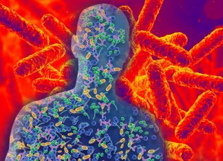 Researchers have found a causal link between caesarean section birth – low intestinal microbiota and peanut sensitivity in infants