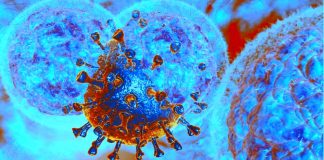 SARS-CoV-2 infection induces polyfunctional antibodies