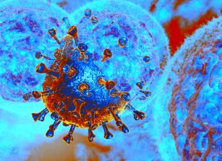 SARS-CoV-2 infection induces polyfunctional antibodies